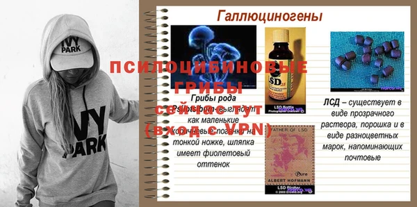 MDMA Premium VHQ Заводоуковск